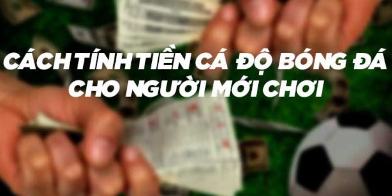 Cá độ bóng đá cho người mới Các chiến lược đơn giản nhưng hiệu quả cho người mới